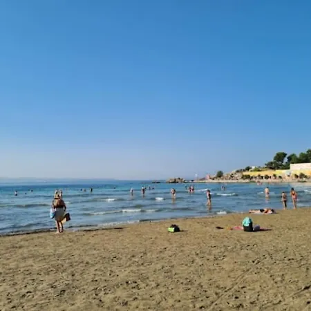 Sole Macula Daire *