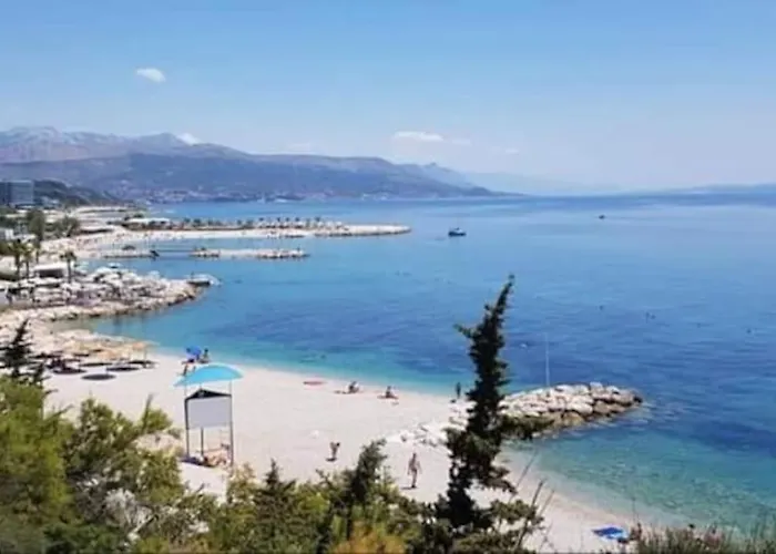 Sole Macula Сплит